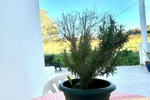 Villa in Albufeira, Faro, Albufeira - € 3,200/month | Ref: SV 1326 - photo 12