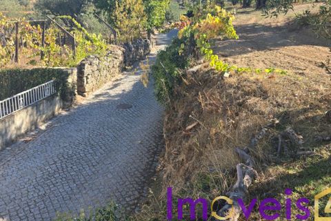 Landejendom i Tarouca, Viseu, Tarouca - € 950.000 | Ref: SV 1826 - foto 8