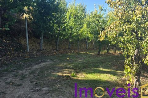 Landejendom i Tarouca, Viseu, Tarouca - € 950.000 | Ref: SV 1826 - foto 11