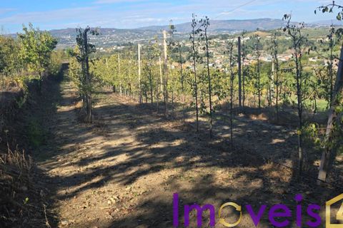 Landejendom i Tarouca, Viseu, Tarouca - € 950.000 | Ref: SV 1826 - foto 13