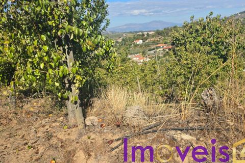 Landejendom i Tarouca, Viseu, Tarouca - € 950.000 | Ref: SV 1826 - foto 14