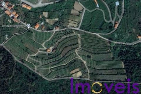 Landejendom i Tarouca, Viseu, Tarouca - € 950.000 | Ref: SV 1826 - foto 15