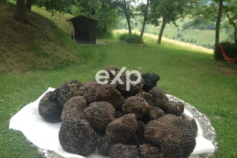Landejendom i Cagli, Pesaro and Urbino, Cagli - € 1.150.000 | Ref: exp-012045 - foto 9
