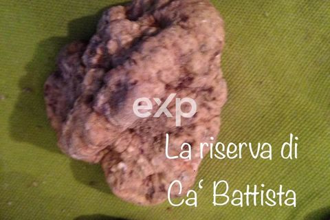 Landejendom i Cagli, Pesaro and Urbino, Cagli - € 1.150.000 | Ref: exp-012045 - foto 10