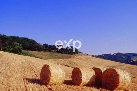 Landejendom i Cagli, Pesaro and Urbino, Cagli - € 1.150.000 | Ref: exp-012045 - foto 15