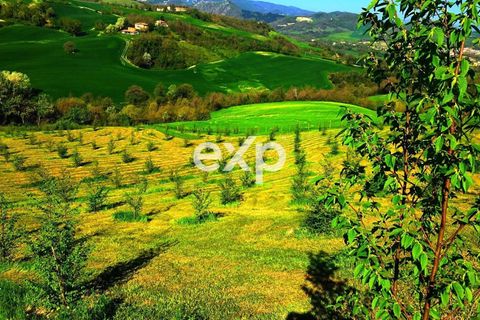 Landejendom i Cagli, Pesaro and Urbino, Cagli - € 1.150.000 | Ref: exp-012045 - foto 17