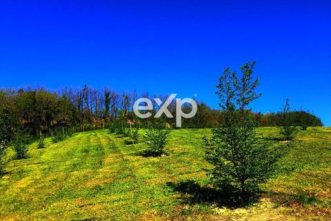 Landejendom i Cagli, Pesaro and Urbino, Cagli - € 1.150.000 | Ref: exp-012045 - foto 44