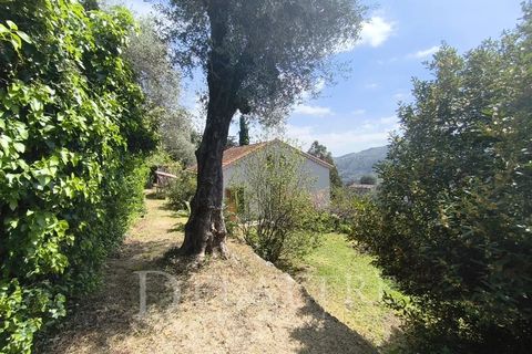 Villa i Chateauneuf-Grasse, Alpes-Maritimes, Chateauneuf-Grasse - € 580.000 | Ref: 86886081 - foto 9