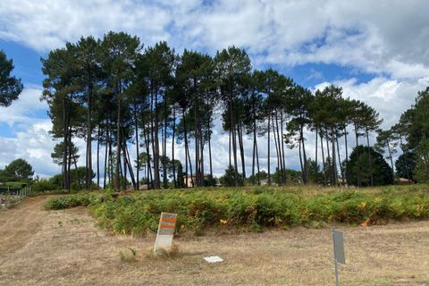 Grond in Hourtin, Gironde, Hourtin - € 102.020 | Ref: PA-hourtin-401-2 - foto 1