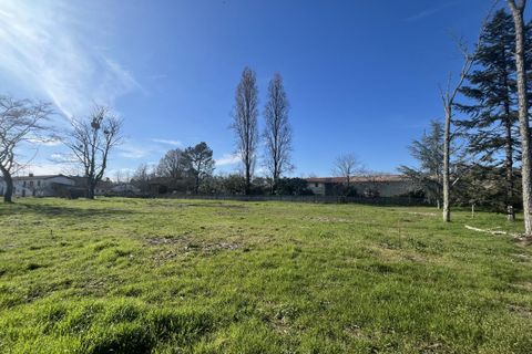 Tomt i Landiras, Gironde, Landiras - € 114 990 | Ref: AM-LANDIRAS-1172 - foto 3