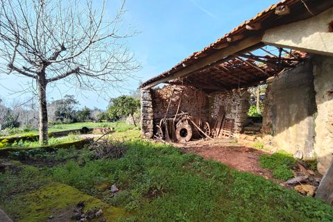 Villa i Alvaiazere, Leiria, Alvaiazere - € 56.500 | Ref: SF-SAFTI:007747 - foto 18