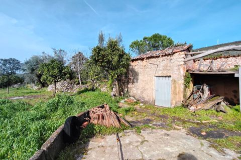Villa i Alvaiazere, Leiria, Alvaiazere - € 56.500 | Ref: SF-SAFTI:007747 - foto 19