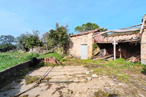 Villa i Alvaiazere, Leiria, Alvaiazere - € 56.500 | Ref: SF-SAFTI:007747 - foto 20