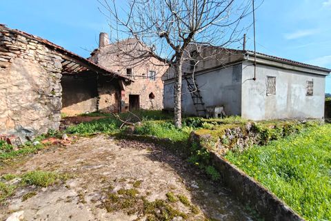 Villa i Alvaiazere, Leiria, Alvaiazere - € 56.500 | Ref: SF-SAFTI:007747 - foto 21
