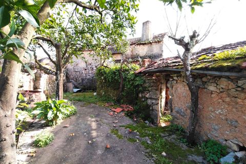 Villa i Alvaiazere, Leiria, Alvaiazere - € 56.500 | Ref: SF-SAFTI:007747 - foto 23