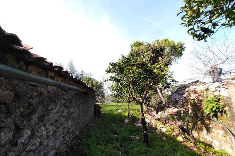 Villa i Alvaiazere, Leiria, Alvaiazere - € 56.500 | Ref: SF-SAFTI:007747 - foto 24