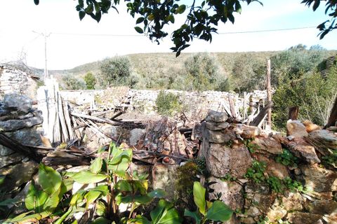 Villa i Alvaiazere, Leiria, Alvaiazere - € 56.500 | Ref: SF-SAFTI:007747 - foto 25