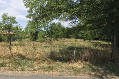 Villa i Sanguinet, Landes, Sanguinet - € 246.800 | Ref: CB-380SANGUINET2 - foto 2