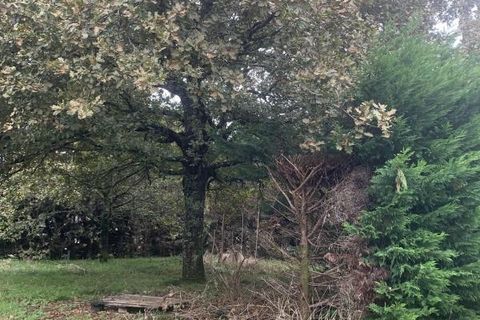 Villa i Gujan-Mestras, Gironde, Gujan-Mestras - € 535.000 | Ref: JLM-TTMFUJI - foto 3