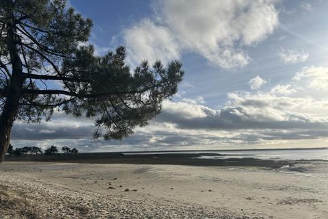 Villa a Lanton, Gironde, Lanton - € 675.000 | Ref: GAB-LANTSUZ0401 - foto 3