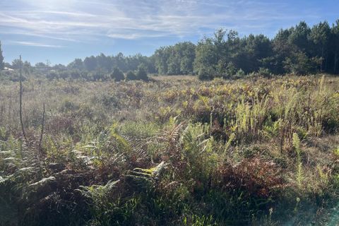 Helårsgrund i Arsac, Gironde, Arsac - € 267.500 | Ref: NN-ARSAC-2003-RR - foto 1