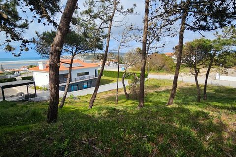 Helårsgrund i Vau, Leiria, Vau - € 295.000 | Ref: BL1353 - foto 11