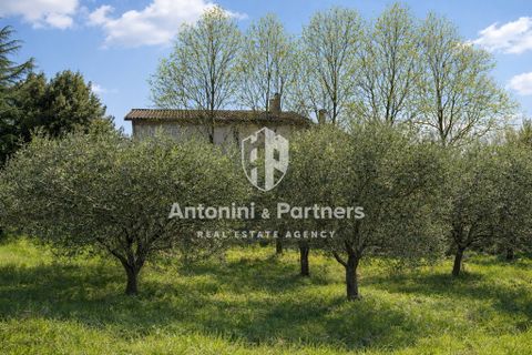 Byhus i Todi, Perugia, Todi - € 120.000 | Ref: 29239 - foto 29
