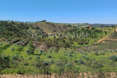 Træhytte i Odemira, Beja, Odemira - € 165.000 | Ref: K-327 - foto 3