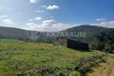 Træhytte i Odemira, Beja, Odemira - € 165.000 | Ref: K-327 - foto 19