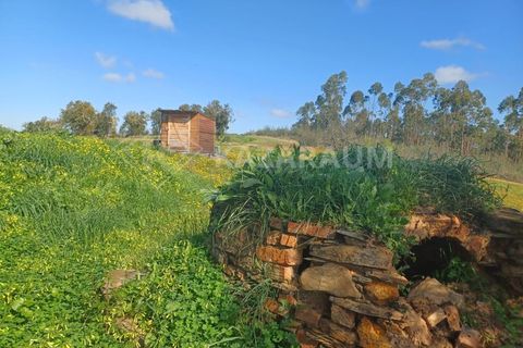 Træhytte i Odemira, Beja, Odemira - € 165.000 | Ref: K-327 - foto 22