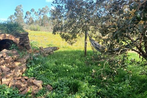 Træhytte i Odemira, Beja, Odemira - € 165.000 | Ref: K-327 - foto 23