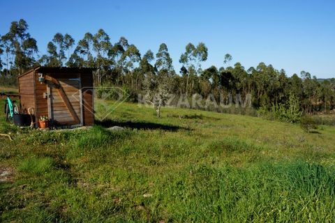 Træhytte i Odemira, Beja, Odemira - € 165.000 | Ref: K-327 - foto 24
