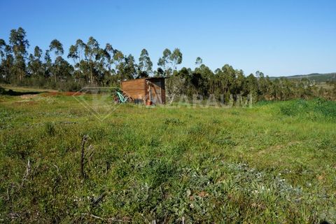 Træhytte i Odemira, Beja, Odemira - € 165.000 | Ref: K-327 - foto 27