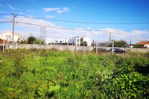 Helårsgrund i Aveiro, Aveiro, Aveiro - € 32.000 | Ref: KWPT-030460 - foto 3