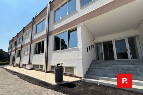 Erhvervsejendom i Caserta, Caserta, Caserta - € 3.000.000 | Ref: kA9424 - foto 2