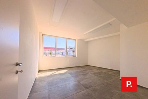 Erhvervsejendom i Caserta, Caserta, Caserta - € 3.000.000 | Ref: kA9424 - foto 18