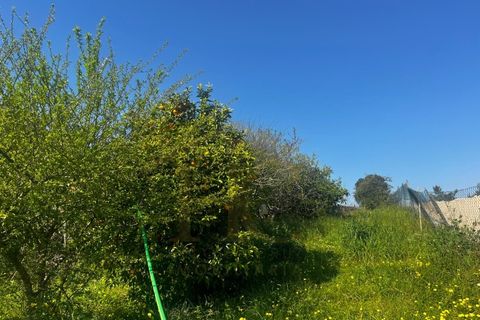 Villa i Aveiro, Aveiro, Aveiro - € 195.000 | Ref: HC0775 - foto 19