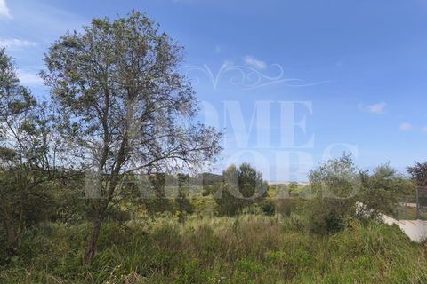 Helårsgrund i Mafra, Lisbon, Mafra - € 745.000 | Ref: HT_50236 - foto 12
