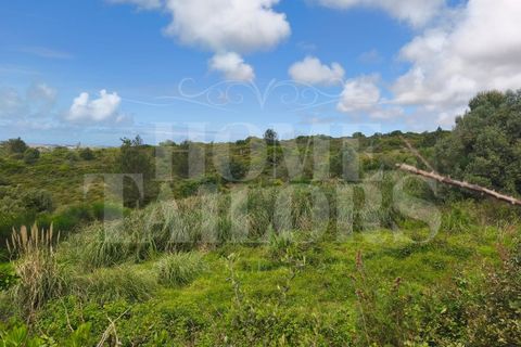 Helårsgrund i Mafra, Lisbon, Mafra - € 745.000 | Ref: HT_50236 - foto 15