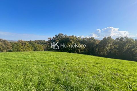 Terra a Saint-Gaudens, Haute-Garonne, Saint-Gaudens - € 60.000 | Ref: VT311-69-HOMEKARE-HK - foto 3