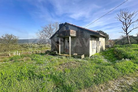Villa i Caminha, Viana do Castelo, Caminha - € 175.000 | Ref: 2812 - foto 3