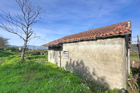 Villa i Caminha, Viana do Castelo, Caminha - € 175.000 | Ref: 2812 - foto 4