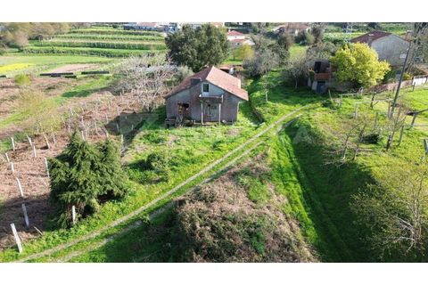 Villa i Caminha, Viana do Castelo, Caminha - € 175.000 | Ref: 2812 - foto 5