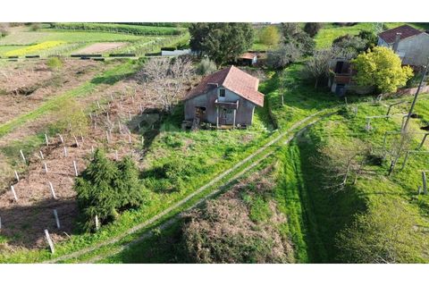 Villa i Caminha, Viana do Castelo, Caminha - € 175.000 | Ref: 2812 - foto 11