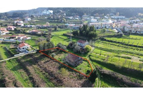 Villa i Caminha, Viana do Castelo, Caminha - € 175.000 | Ref: 2812 - foto 13
