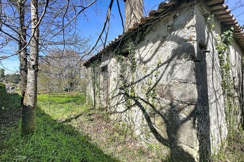 Villa a Venade e Azevedo, Viana do Castelo, Venade e Azevedo - € 170.000 | Ref: 2811 - foto 3
