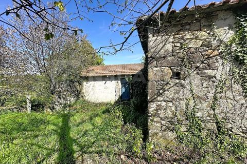 Villa a Venade e Azevedo, Viana do Castelo, Venade e Azevedo - € 170.000 | Ref: 2811 - foto 4