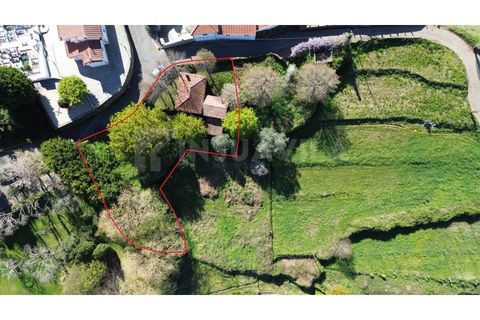 Villa a Venade e Azevedo, Viana do Castelo, Venade e Azevedo - € 170.000 | Ref: 2811 - foto 5