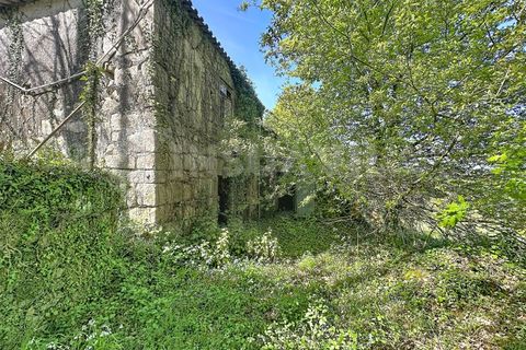 Villa a Venade e Azevedo, Viana do Castelo, Venade e Azevedo - € 170.000 | Ref: 2811 - foto 6