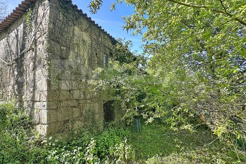 Villa a Venade e Azevedo, Viana do Castelo, Venade e Azevedo - € 170.000 | Ref: 2811 - foto 7